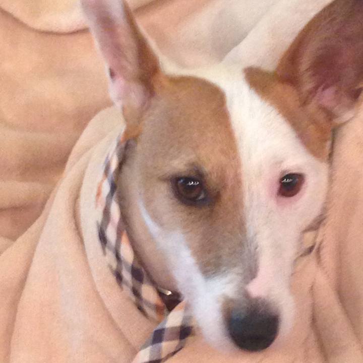 E11366e7 1087 415a a578 25b12b91790b