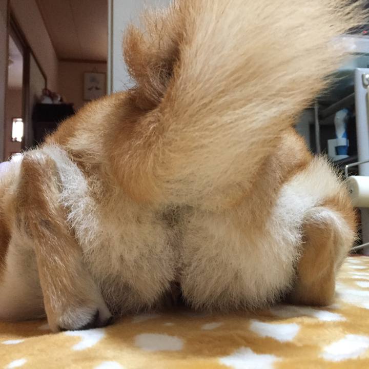 E115833b f1bc 407b 8f21 893a9482e9d2