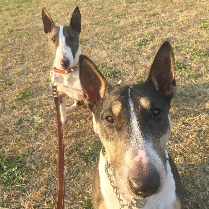 E1158a30 2209 4449 8c48 7c54052b9a1a