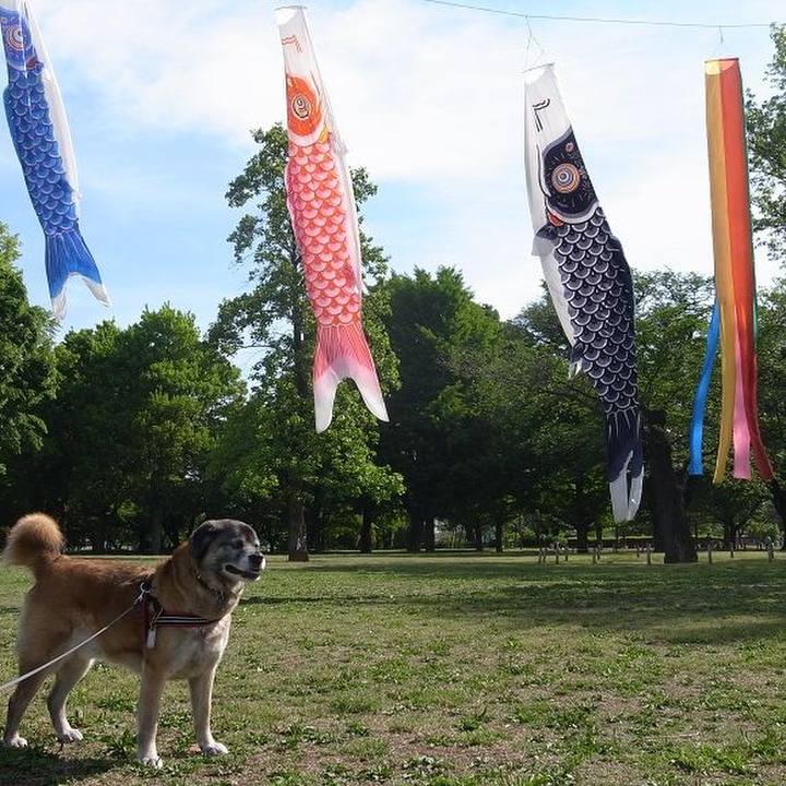 E1158b6c 054b 4c14 a35e 741a92b0ccfd