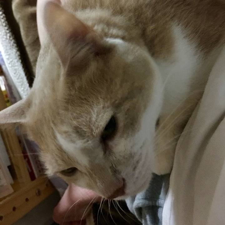 E116978f 224b 4791 8f02 f2f578053f11