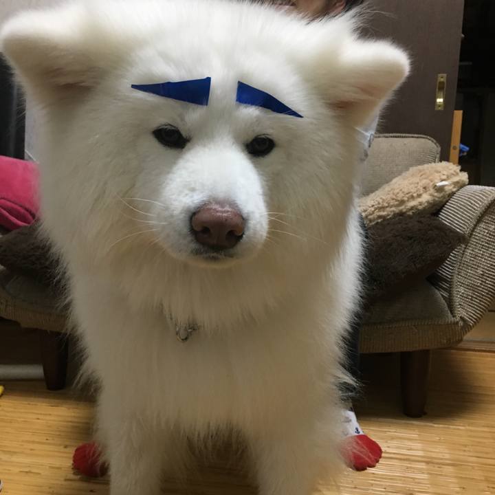 E116a8f0 1421 4557 b49f 9187cd92de19