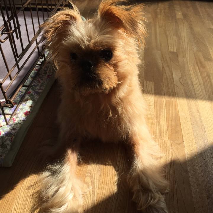 E116cfc7 479d 41c9 b9a1 090e0d0d6582