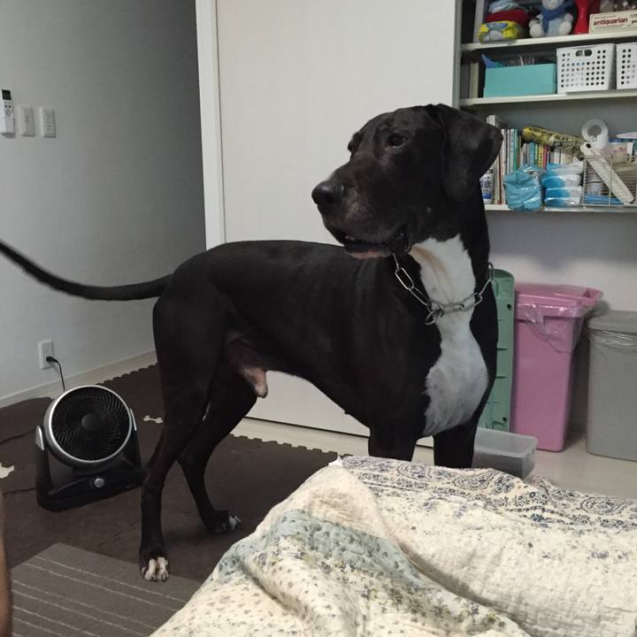 E11708fd bd01 4903 8929 f5c3cc08eeec