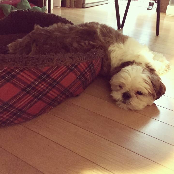 E11755b5 3f6a 460d 87e0 0748d8a1aef4