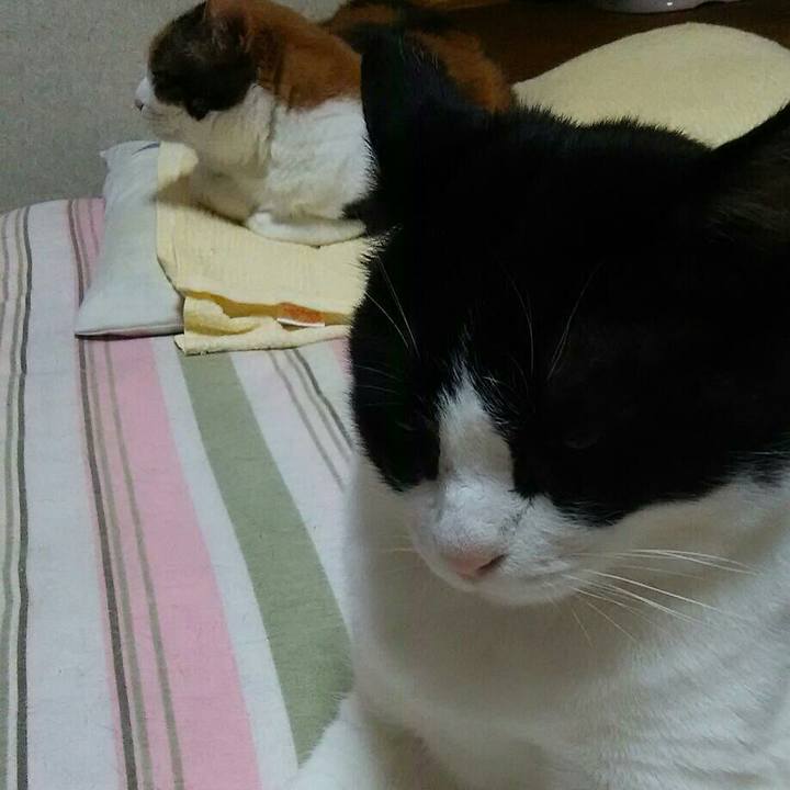 E11819d3 824e 45ff ba5e 94131b676ba3