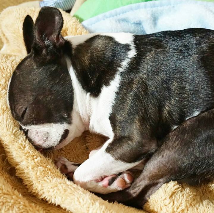 E1194bad e545 452e 8830 60b047a581fd