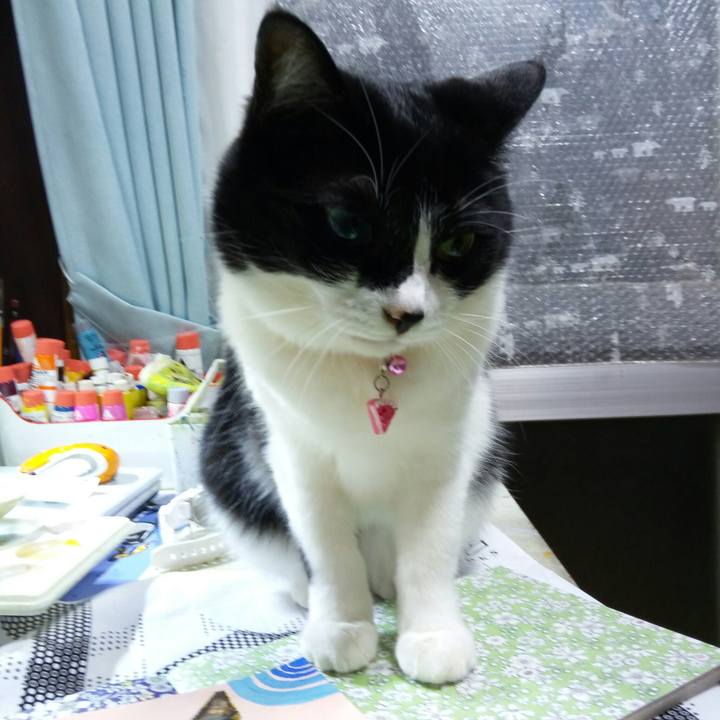 E11add45 f3fe 415a 8558 bad4bd5ad1a4