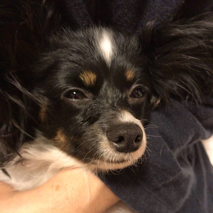 E11aedb0 3270 49b4 909e 2f02e6238b79