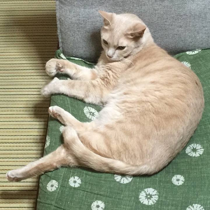 E11c3576 0133 4d85 9102 65135a043d18