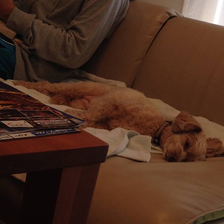 E11cb5cf f23f 4733 ba35 3a60f701f22e