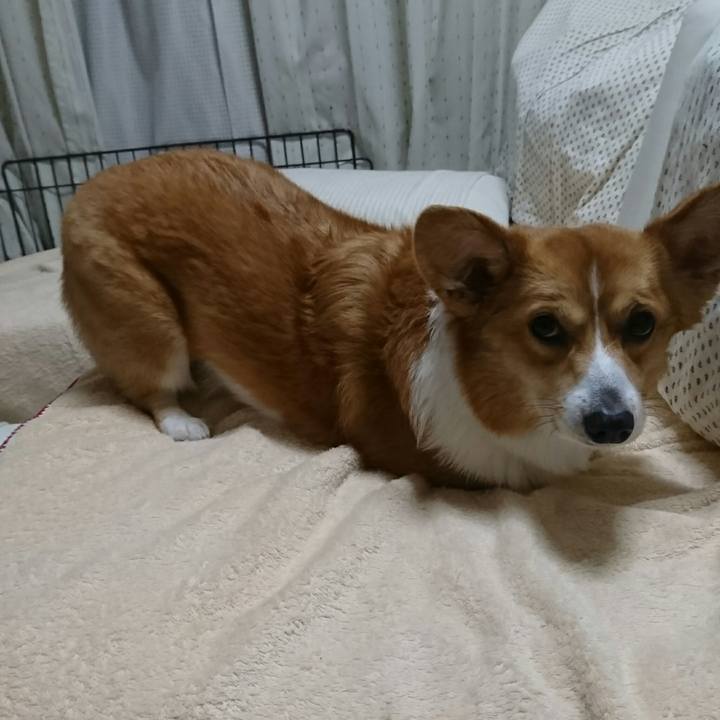 E11cb93f 3b64 4201 a3c7 7e0ee588e32f