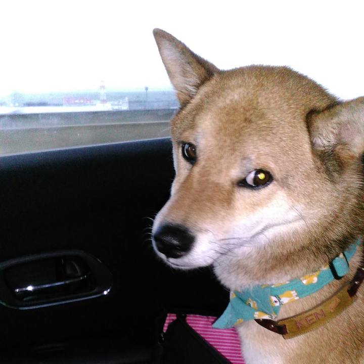 E11d27da 81e7 408c bf69 244265d702b9