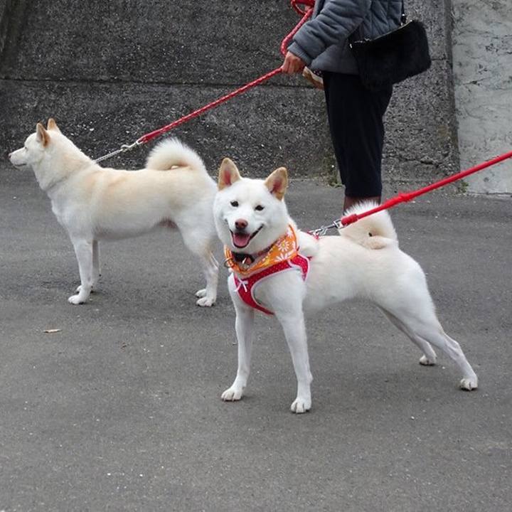 E11dc629 49e8 4244 b8d6 0e5a11c01f9b