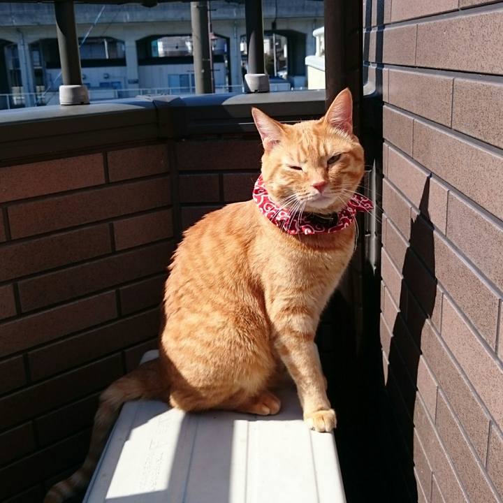 E11df586 026f 414a 9c7a 23164a4c3d5a