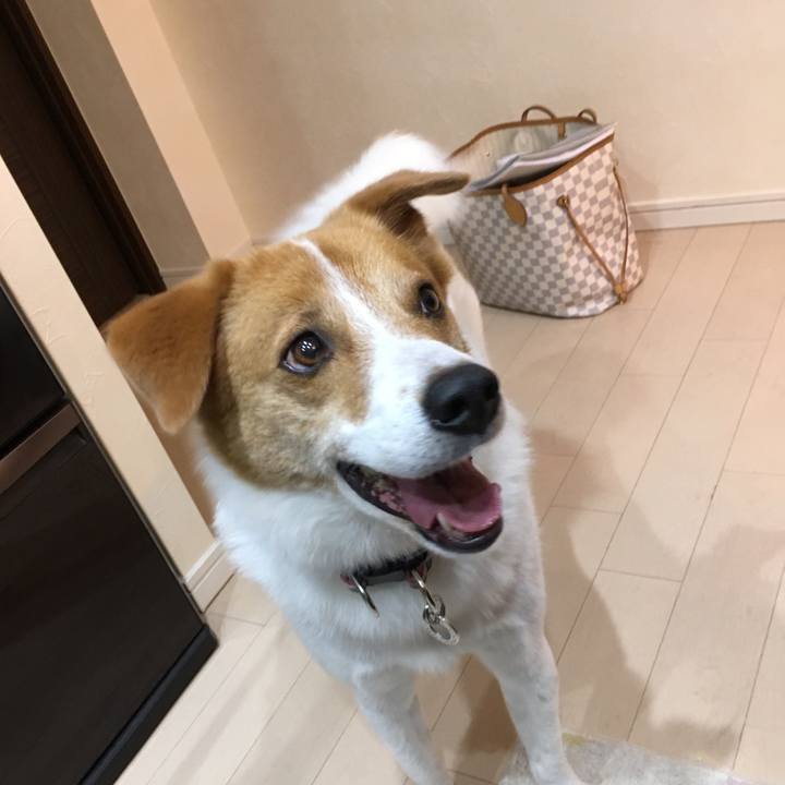 E11e4184 f699 4a1b bb8f f46a98891e49