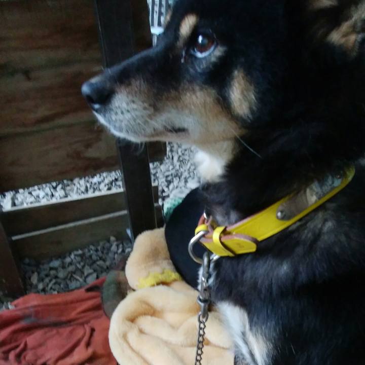 E11e4acd a05b 4706 9fe0 2695c56720f5