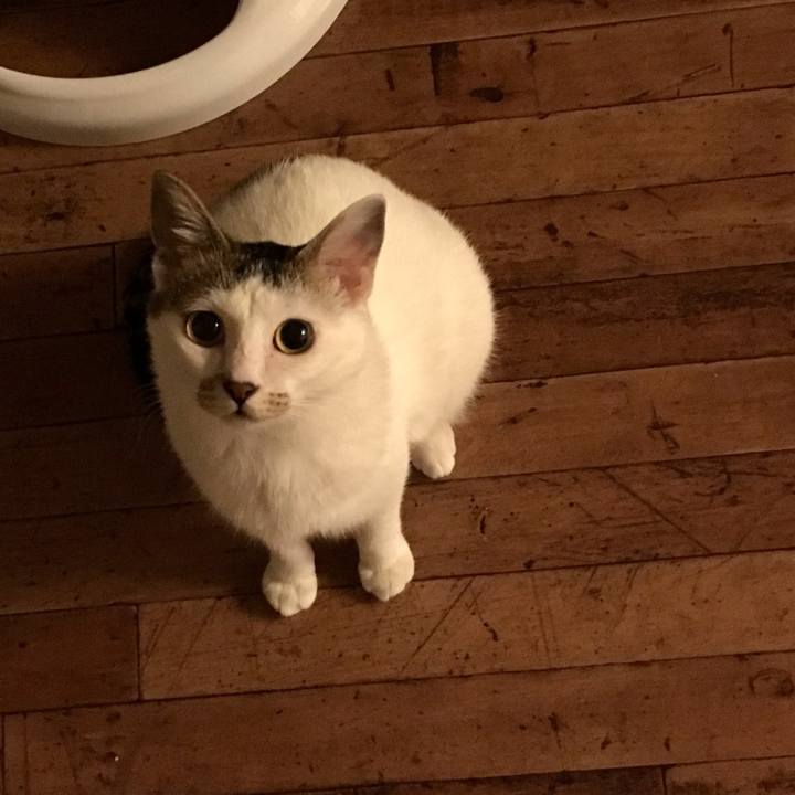 E11eac66 ebb6 40cc a0fd c0635e93d860