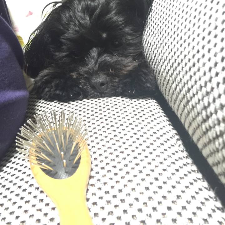 E11ee972 dc09 498d 8b11 a7bbd043b17f