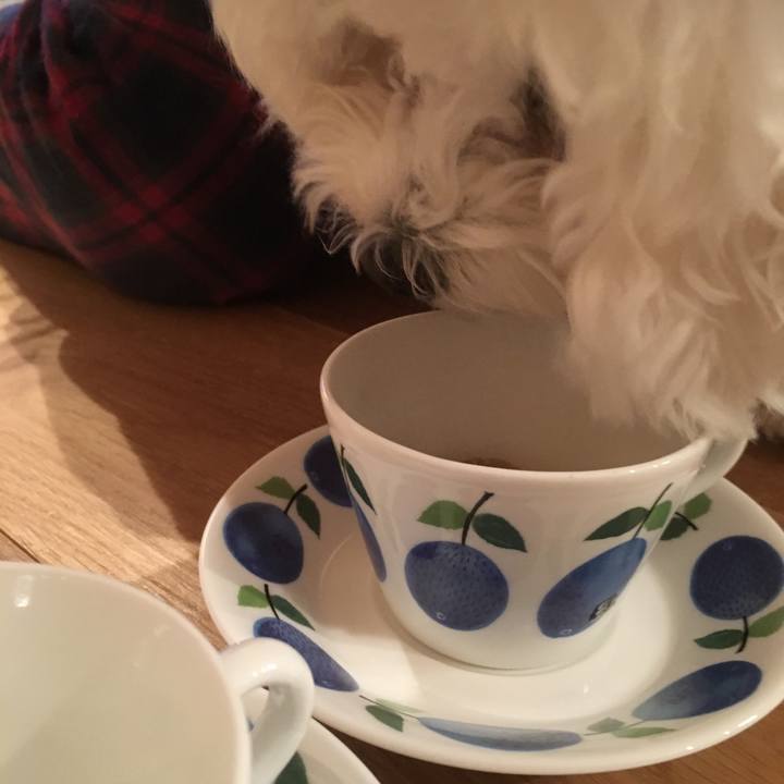 E11f67b5 d6b5 47f0 b900 092a6118ab07