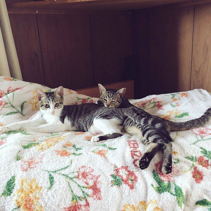 E11fa9f0 486d 4c39 8b5d 2f24771d92ef