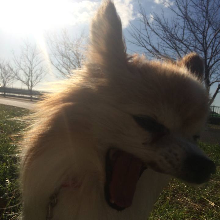 E1206463 a3f7 43fc 918d e40edcf49b73