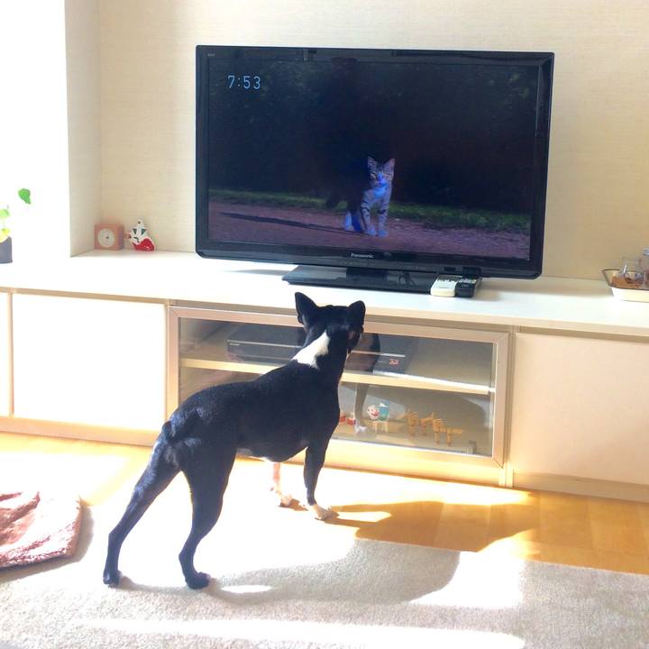 E1211ed0 f40f 4cc3 9265 09e21ff9e7c9