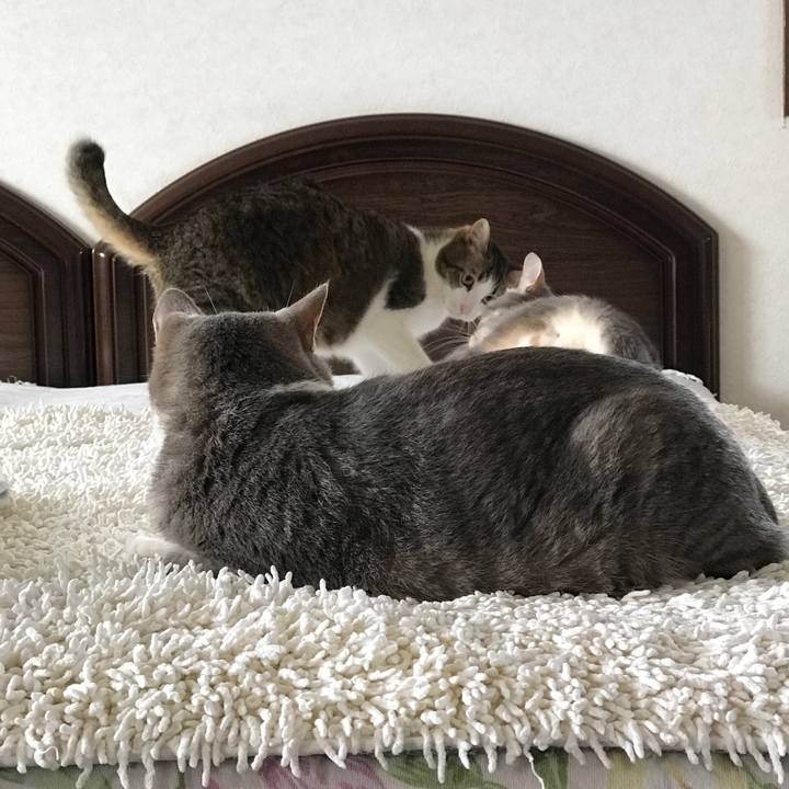 E121ca53 c21d 4ba9 a142 e865f1475790