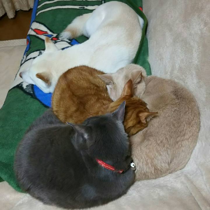 E121d542 8b9a 4671 a4d9 7e50103dde26