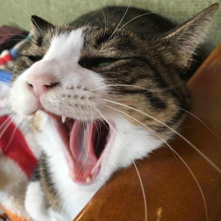 E121f2e9 99c9 4aba 921d 545e4a8e504b