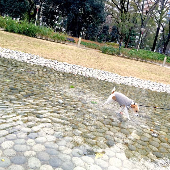 E1221f5d 96a5 4b67 80d7 bce55fd27a23