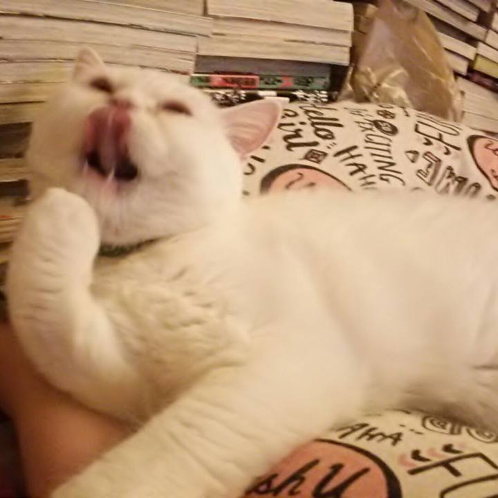 E1222176 4005 4ef0 b7c9 73aba3a90467