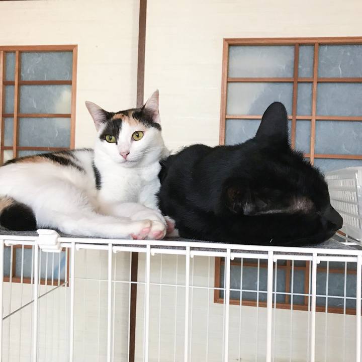 E122799b de68 4068 898b c793e73f17ec