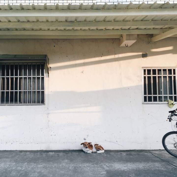 E1229ca1 7f2f 41fa ad35 8a49f1182ff0