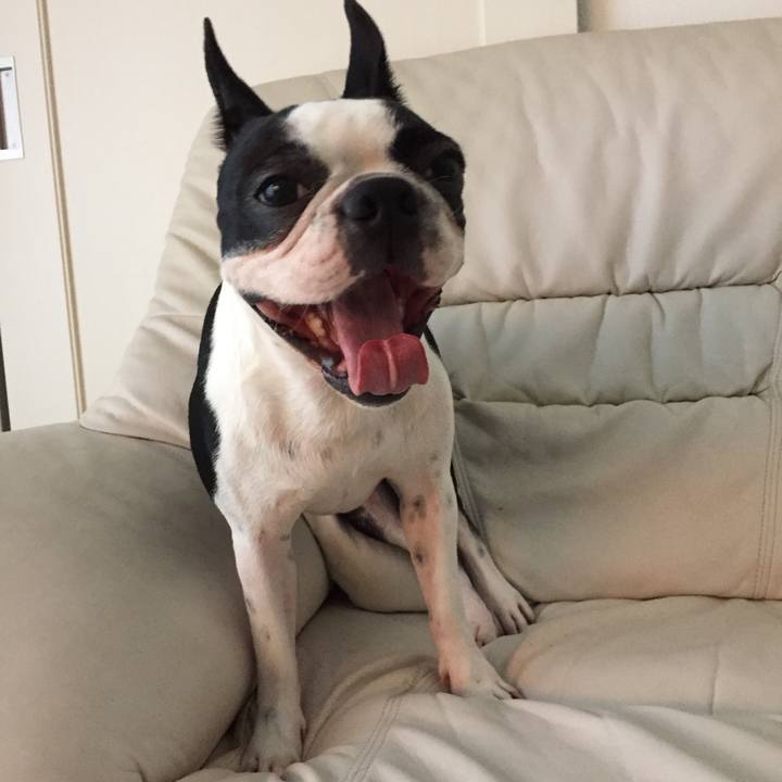 E122c38c 2a65 43ed bdae 2c6dafe876f0