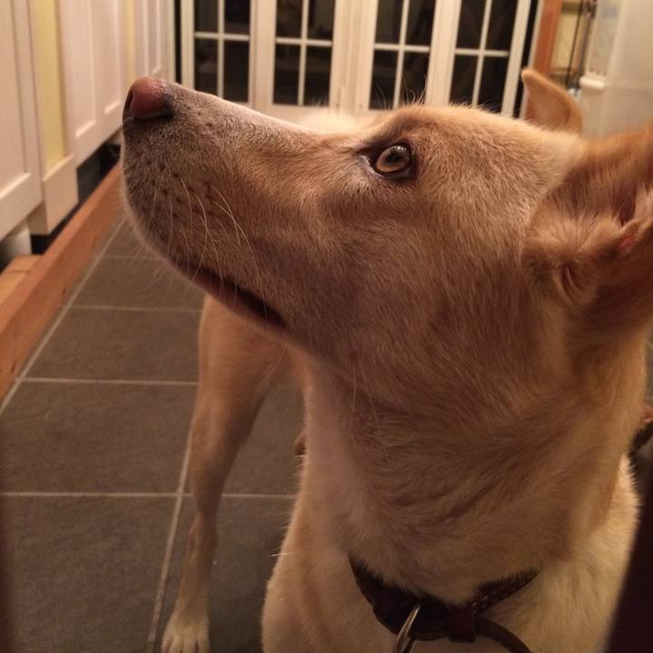 E122ea9f b485 4d60 903c b9e3eca256ab