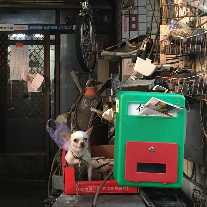 E123458b 6936 4807 b012 4554d0cd8eae