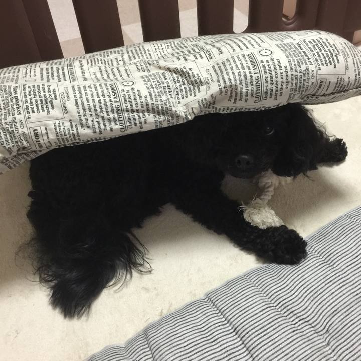 E1242738 c607 4cc1 960d 6ad0d9a55b6c