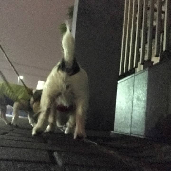 E1242b4c 4783 40b2 b8b3 1179a36ec3ab