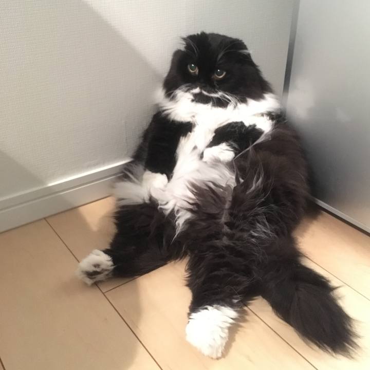 E12468e9 9a5b 402e 874c 6f2b15b4b4b6