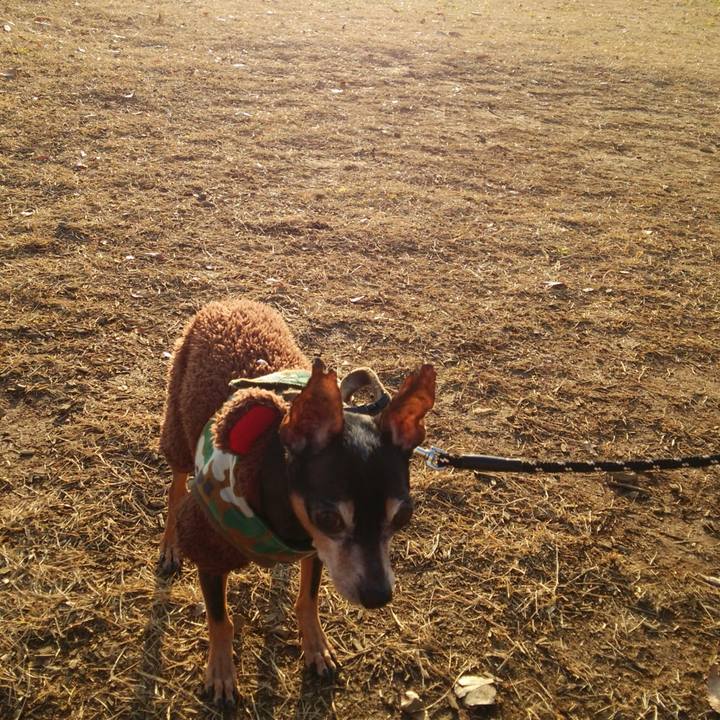 E124853f fb35 442c a746 0cf8306999e8