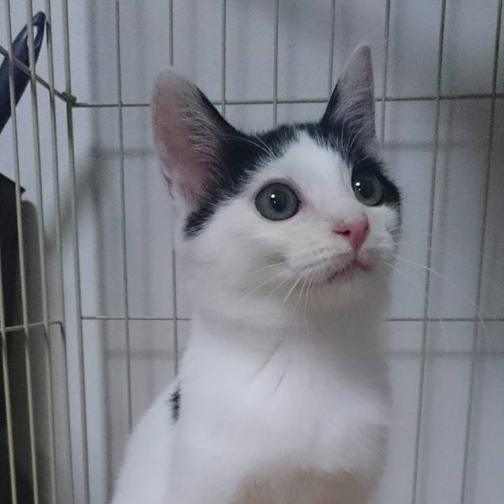 E1249668 ffbb 45be 8941 e1379755255b