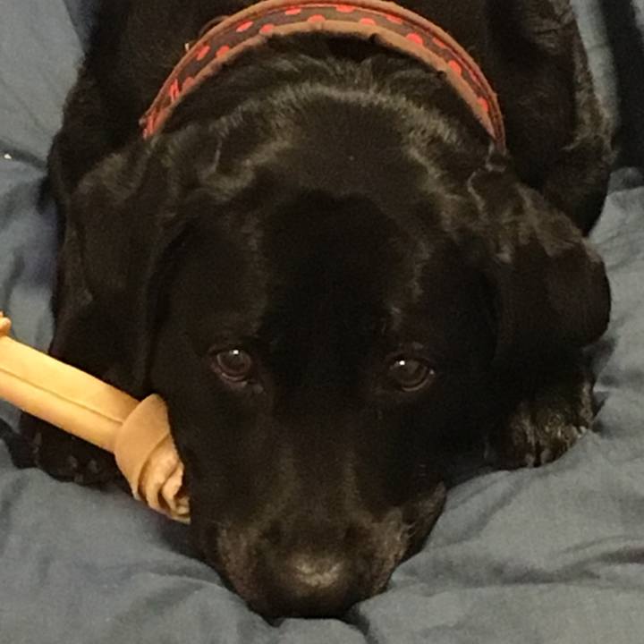 E124ff67 1c4a 4f9b 90d6 d4098dca3421