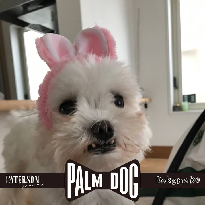 E125b749 1c31 49b6 b0b9 6a23aa9f45a0