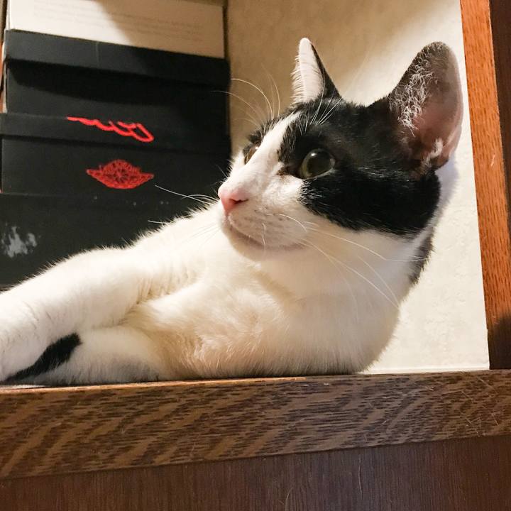 E1267bb6 de1d 438b b2c8 003fe1774fc9