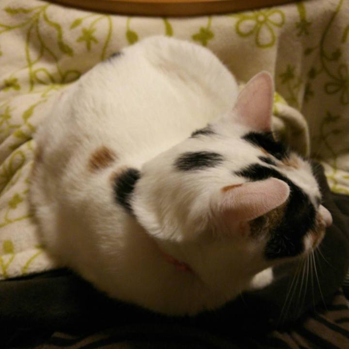 E1269dd7 cfc9 418c 965f bf9bfc38bfdb