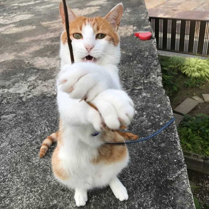 E1274827 5a32 4d04 bad3 aecb1e35d5a2