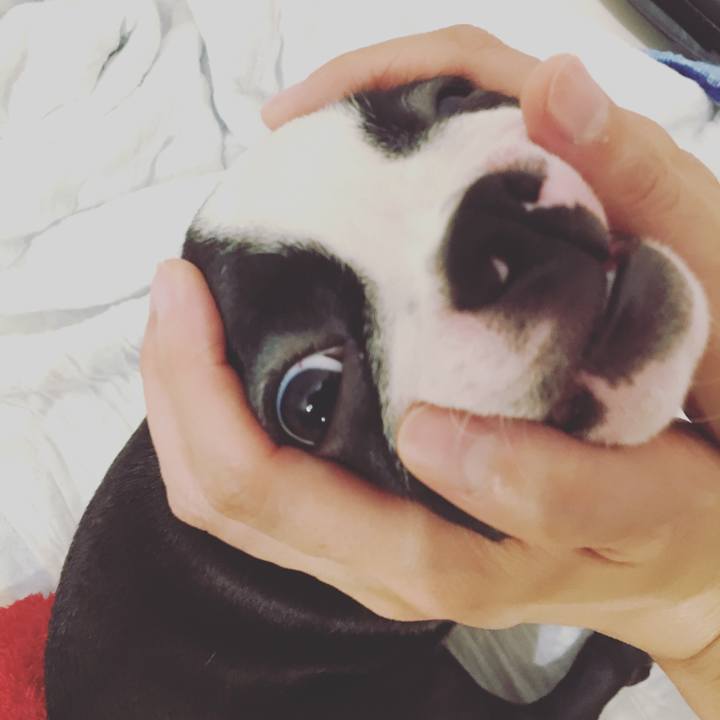 E127f119 167d 461c 9416 8366ea689d18