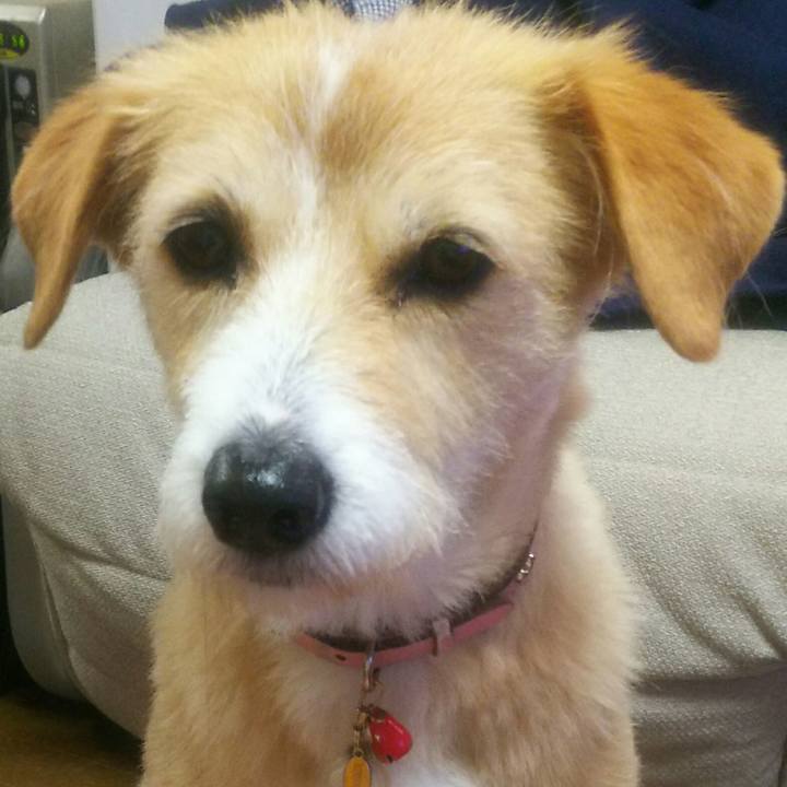 E128085f 1f30 46c3 bc73 3278df283b69