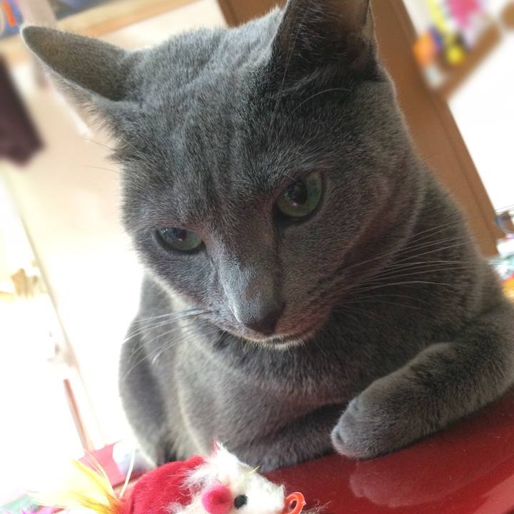 E128cfac e19d 46dd 9358 fdf153ddcc01